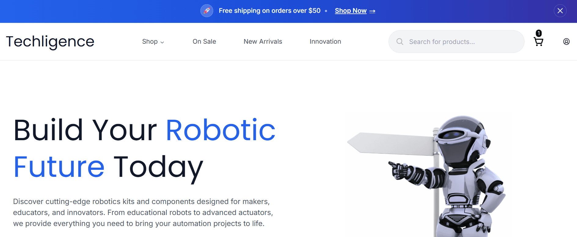 Ecommerce Website Demo by DevPulsz